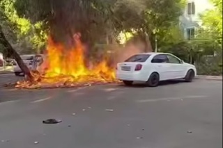 Тошкентда дарахт шохлари ёниб, иккита машинага зарар етди