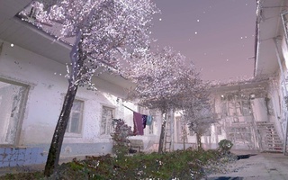 Фонд развития культуры и искусства представит выставку «Mahalla Unframed» в рамках «Al Serkal Art week»