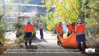 Toshkentda xazon mavsumi uchun maxsus shtab ish boshladi