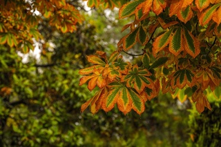 Ҳаво ўзгариб туради, ёғингарчилик кутилмайди