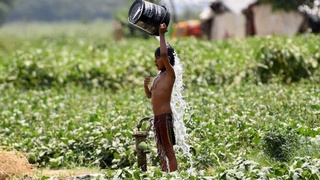 Ҳафтанинг иккинчи ярмида кунларнинг яна қизиши кутилади