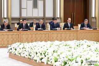 Barcha mahallalarda koʻchat yarmarkasi tashkil qilinadi