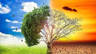 В Душанбе пройдет Центральноазиатская конференция по вопросам изменения климата