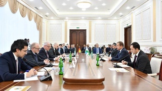 Руководители 25 влиятельный компаний Германии прибыли в Навоийскую область