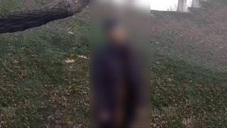 Тошкентдаги мактаб ҳовлисида эркак ўзини дарахтга осиб қўйди