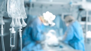 Определен порядок трансплантации гемопоэтических стволовых клеток костного мозга