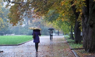 Узгидромет: на предстоящей неделе в Узбекистане ожидаются дожди и похолодание