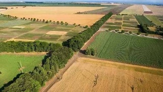 Жер телімдерін қоғам мұқтаждықтары үшін алып қоюда заңдылық қамтамасыз етіледі
