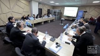 Подведены итоги реализации проекта ФАО по рисоводству