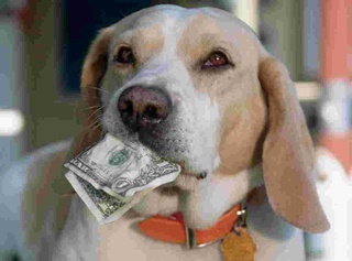 Дунё мамлакатларидаги ноодатий солиқлар