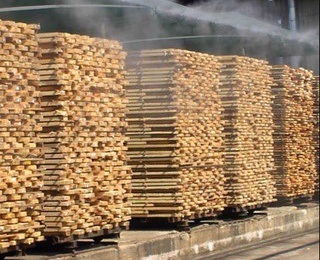 Оққайин ёғочлари зарарсизлантирилди