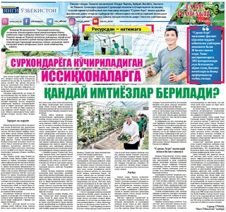 Сурхондарёга кўчириладиган иссиқхоналарга қандай имтиёзлар берилади?