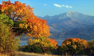 Дам олиш кунлари ёғингарчиликларсиз ўтади