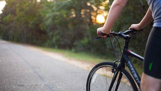 Двухколесный друг человека