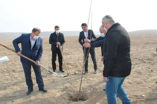 Quvasoyda 100 gektarlik bogʻ tashkil etiladi