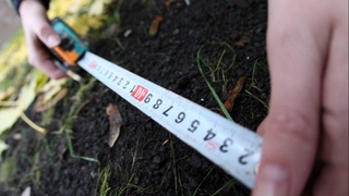 Yer uchastkasi boʻyicha qonunbuzarlik haqida xabar bergan fuqarolarga pul mukofoti beriladi