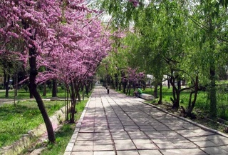 Прогноз погоды на 29 марта