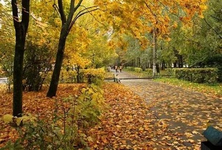 Weather forecast for October 15th