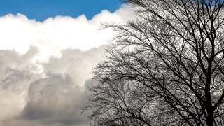 Погода на этой неделе будет разнообразной