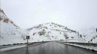 Ertaga ayrim joylarda tuman tushishi mumkin