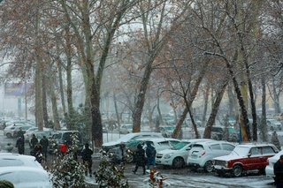 Пойтахт Экология бошқармаси фуқароларни огоҳлантирди