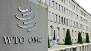 Всем одинаковые условия - главное требование ВТО