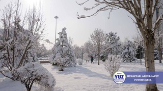 Uzhydromet: at the weekend, abnormal frosts will gradually weaken