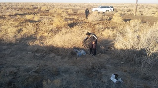 Алкоголли маҳсулотларни ноқонуний олиб киришнинг ғайриоддий усуллари фош қилинди