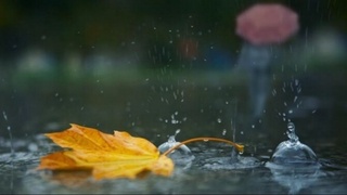 Бүгін еліміздің оңтүстік өңірлерінде ауа температурасы 19-24 градус жылы болады