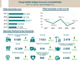 Iqtisodiy faoliyat turlari boʻyicha yangi tashkil etilgan korxonalar