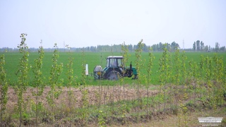 Атыз шетлери итибардан шетте қалмайды