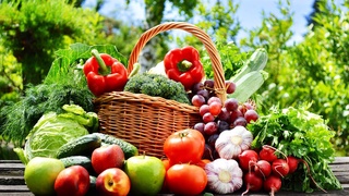 Экспортерам продовольственной продукции будут выделены финансовые ресурсы до 3 млн долларов