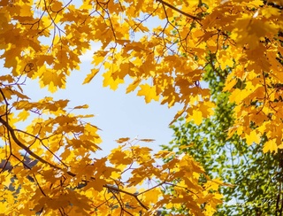 12-октябрь күни болатуғын ҳаўа райы ҳаққында мағлыўмат