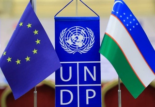 Узбекистан поделился опытом разработки КНМФ и выпуска облигаций ЦУР для финансирования национальных приоритетов