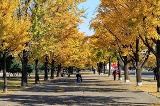 Weather forecast for November 10