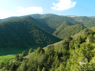 Зомин ва Бахмал табиатини ихтисослаштирилган прокуратура муҳофаза қилади