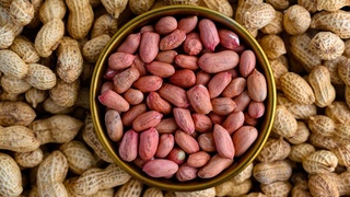 В Нидерланды доставлена первая партия узбекского арахиса