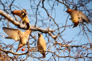 Каким будет февраль в этом году?