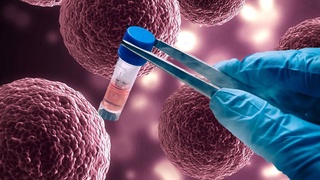 Израильские ученые создали лекарство от коронавируса на основе стволовых клеток