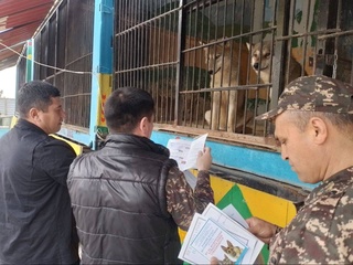 Прерванные гастроли