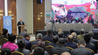 В Ташкенте отметили Всемирный день почв