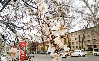 Прогноз погоды на 22 марта