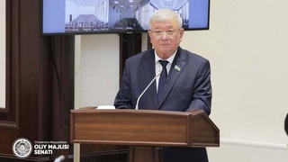 Заслушан отчет Комитета Сената о деятельности в 2020 году и прошедшем периоде 2021 года