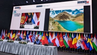 Делегация Узбекистана приняла участие в подготовительной встрече к Эколого-экономическому форуму ОБСЕ