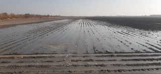 Самарқандда жорий йилнинг ўтган 10 ойи давомида сувдан фойдаланиш юзасидан 1003 та қонунбузилишлар аниқланди