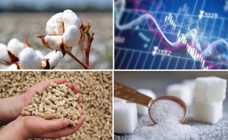 На Узбекской республиканской товарно-сырьевой бирже снизились цены на сахар, хлопковое волокно и комбикорм