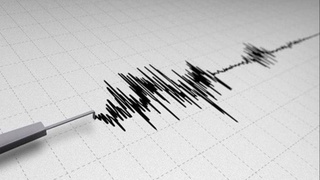 Афғонистонда содир бўлган зилзила Ўзбекистонда ҳам сезилди