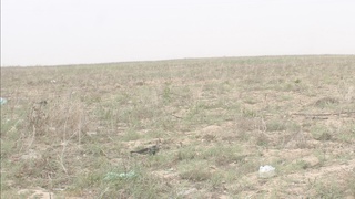 Мавзуга қайтиб: “Халқ банки” масъуллари нега жим?