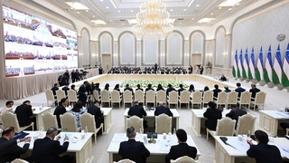 Bu yil necha nafar qiz IT boʻyicha bepul oʻqitilishi aytildi