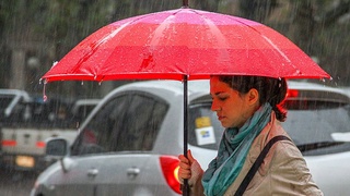 Ҳафта илиқ ўтсада, бир оз ёғингарчиликлар кутилади